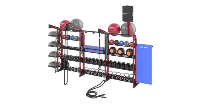 LF Synrgy180 - Side Storage Life Fitness Synergy/Rack Addon Bolton 501-011-lf-synrgy-180_bc2e4a37-89fb-4813-b9d5-533bccb25674