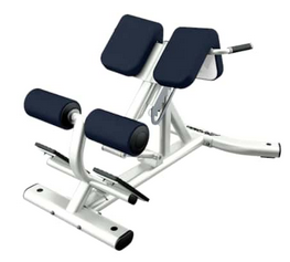 Life Fitness Back Extension Default Title Life Fitness Bench; flat/incline/decline benches 6817e17f-578a-ef11-842e-0aa4e80801fd_LBR-BE_.