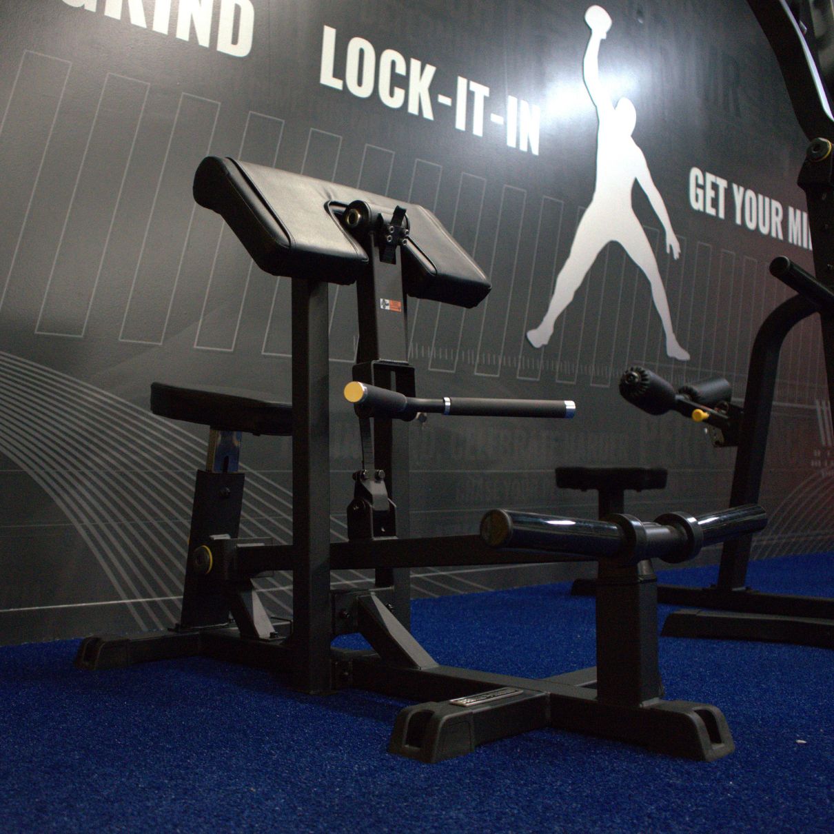 Gronk Fitness Plate Loaded Bicep Curl – G&G Fitness Equipment