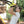 TRX Strong System
