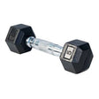 Life Fitness - 5lb Rubber Hex Dumbbell Life Fitness Dumbbells SDR-005_720x_04cda554-0075-4962-b0ed-3a0512e955e5