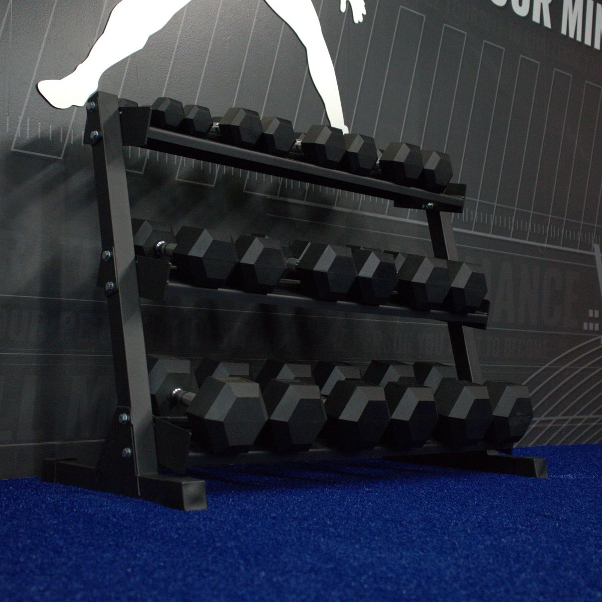 Gronk Fitness 3-Tier Dumbbell Storage Rack Gronk Fitness Products Dumbell racks, power block stand, plate and bar storage, kettlebell racks, ball racks gronkfitness_3-tier-dumbbell-storage-rack_view-5_3c47ce69-4709-4741-a8f1-89f0b8fced4f