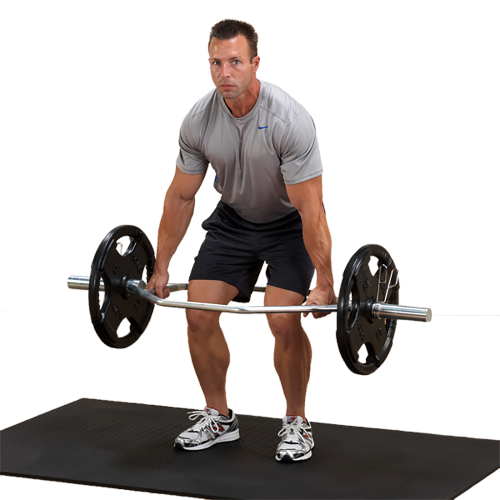 G&g fitness wexford hotsell